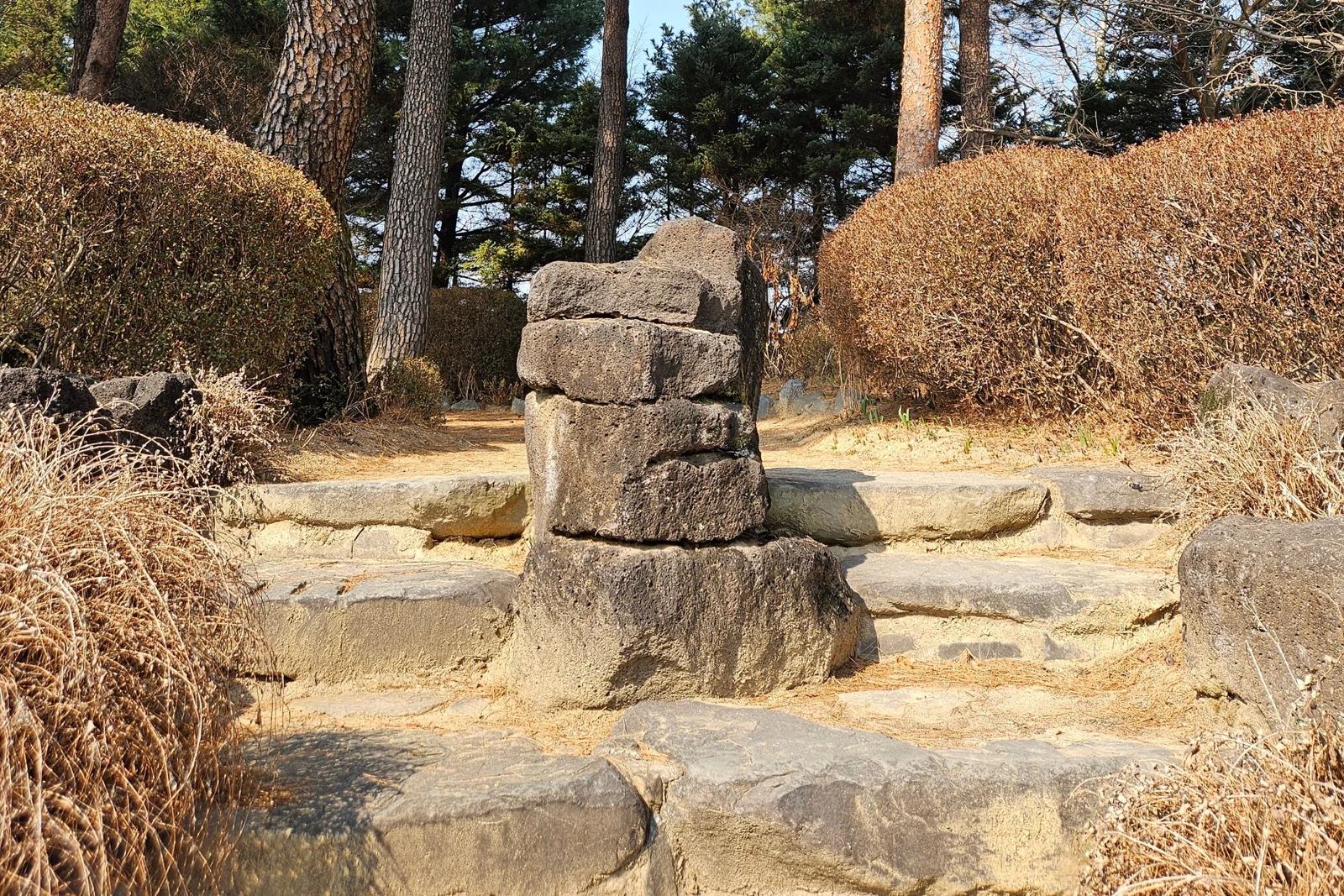 Stone steps and pine trees along a woodland path in South Korea